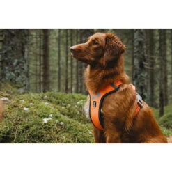 Hurtta Weekend Warrior Geschirr -Haustierprodukte hurtta weekend warrior harness 189108 0500 none