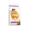 IAMS For Vitality Dog Mature & Senior 1 IAMS For Vitality Dog Mature & Senior -Haustierprodukte iams dog mature senior 133691 0500 none