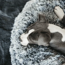 Kentucky Dogwear - Comfort Donut-Hundekorb -Haustierprodukte kentucky dogwear comfort donut hondenmand 219723 0500 none