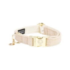 Kentucky Dogwear Hundehalsband Wool 24 Kentucky Dogwear Hundehalsband Wool -Haustierprodukte kentucky dogwear hondenhalsband wool 219698 0500 none