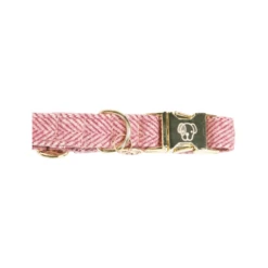 Kentucky Dogwear Hundehalsband Wool 30 Kentucky Dogwear Hundehalsband Wool -Haustierprodukte kentucky dogwear hondenhalsband wool 219709 0500 none