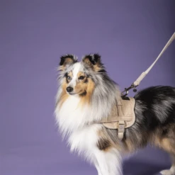 Kentucky Dogwear Hundeleine Wool -Haustierprodukte kentucky dogwear hondenlijn wool 219684 0500 none