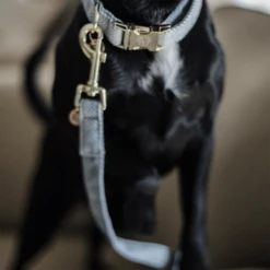 Kentucky Dogwear Hundeleine Wool -Haustierprodukte kentucky dogwear hondenlijn wool 219689 0500 none