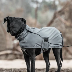 Kentucky Dogwear Soft Rubber Hundehalsband -Haustierprodukte kentucky dogwear soft rubber hondenhalsband 219265 0500 none