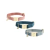 Kentucky Dogwear Velvet Hundehalsband