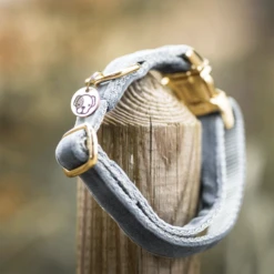 Kentucky Dogwear Velvet Hundehalsband 25 Kentucky Dogwear Velvet Hundehalsband -Haustierprodukte kentucky dogwear velvet hondenhalsband 219236 0500 none