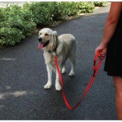 KONG Adjustable Leash -Haustierprodukte kong adjustable leash zwart 176938 0500 none