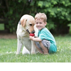 KONG Classic -Haustierprodukte kong classic 98642 0500 none