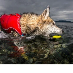 Kurgo Skipping Stones 13 Kurgo Skipping Stones -Haustierprodukte kurgo skipping stones 99608 0500 none