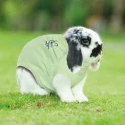 Medical Pet Shirt Kaninchen -Haustierprodukte medical pet shirt konijn 149891 0500 none