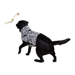 Medical Pet Top Shirt Zebra -Haustierprodukte medical pet top shirt zebraprint 150701 0500 none