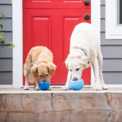 Planet Dog Orbee-Tuff Lil’ Snoop Toy -Haustierprodukte orbee tuff lil snoop toy 203408 0500 none