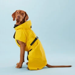 PAIKKA Visibility Raincoat Lite Yellow -Haustierprodukte paikka visibility raincoat lite yellow 217726 0500 none