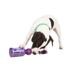 PetSafe Tug-a-Jug -Haustierprodukte petsafe tug a jug 216335 0500 none