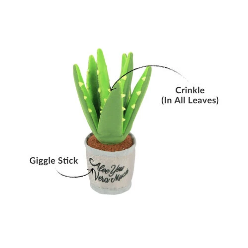 P.L.A.Y. Pet Blooming Buddies - Aloe-ve You Plant 5 P.L.A.Y. Pet Blooming Buddies - Aloe-ve You Plant – Bild 3