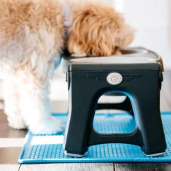 Popware Pet Bowl Grippmat -Haustierprodukte popware pet bowl grippmat 164719 0500 none