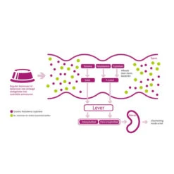 Porus One -Haustierprodukte porus one 134455 0500 none