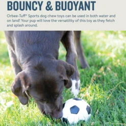 Planet Dog Orbee-Tuff Soccer Ball -Haustierprodukte prod 14590 203615 0500 none