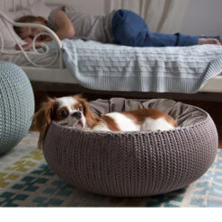 Curver Cozy Pet Bed -Haustierprodukte product curver petlife cozy pet bed none 4 1470230115 72682
