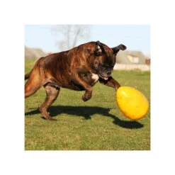 Jolly Egg -Haustierprodukte product jolly egg none 4 1496839893 86965