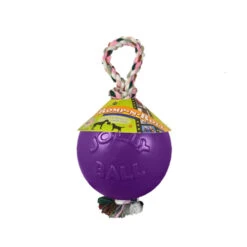 Jolly Ball Mit Strick -Haustierprodukte product jolly romp n roll none 4 1468850147 71422