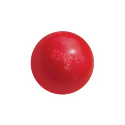 KONG Ball 11 KONG Ball -Haustierprodukte product kong ball none 4 1466058813 69918