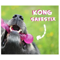 KONG Safestix 8 KONG Safestix -Haustierprodukte product kong safestix none 4 1458633926 66969