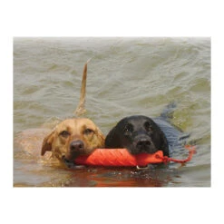 KONG Training Dummy -Haustierprodukte product kong training dummy none 4 1469627104 71971