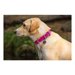 Ruffwear Headwater Collar -Haustierprodukte product ruffwear headwater collar none 4 1487775433 83755
