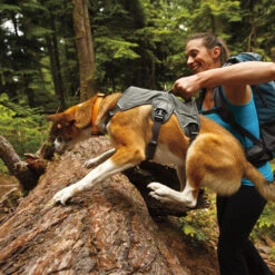 Ruffwear Webmaster Harness -Haustierprodukte product ruffwear webmaster harness none 4 1471947180 76768