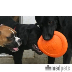Zogoflex Zisc - Flying Disc 7 Zogoflex Zisc - Flying Disc -Haustierprodukte product zogoflex zisc flying disc medpets 4 1403102255 8220