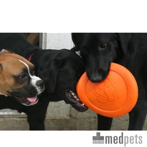 Zogoflex Zisc - Flying Disc 5 Zogoflex Zisc - Flying Disc – Bild 3