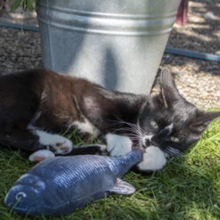 Robocat Lachs -Haustierprodukte robocat zalm 168219 0500 none