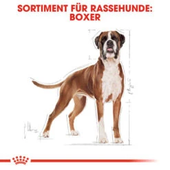 Royal Canin Boxer Adult - Hundefutter 12 Royal Canin Boxer Adult - Hundefutter -Haustierprodukte royal canin boxer adult hondenvoer 137410 0500 none