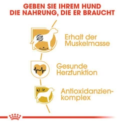Royal Canin Boxer Adult - Hundefutter 10 Royal Canin Boxer Adult - Hundefutter -Haustierprodukte royal canin boxer adult hondenvoer 137422 0500 none