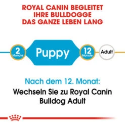 Royal Canin Bulldog Puppy - Hundefutter -Haustierprodukte royal canin bulldog puppy hondenvoer 137785 0500 none