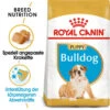 Royal Canin Bulldog Puppy - Hundefutter -Haustierprodukte royal canin bulldog puppy hondenvoer 137848 0500 none