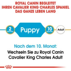 Royal Canin Cavalier King Charles Puppy - Hundefutter -Haustierprodukte royal canin cavalier king charles puppy hondenvoer 137905 0500 none