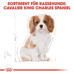 Royal Canin Cavalier King Charles Puppy - Hundefutter -Haustierprodukte royal canin cavalier king charles puppy hondenvoer 137932 0500 none