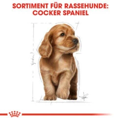 Royal Canin Cocker Puppy - Hundefutter -Haustierprodukte royal canin cocker puppy hondenvoer 138226 0500 none