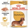 Royal Canin Dachshund Adult Wet - Hundefutter -Haustierprodukte royal canin dachshund adult wet hondenvoer 138433 0500 none