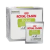 Royal Canin Educ Hund 2 Royal Canin Educ Hund -Haustierprodukte royal canin educ hond 215813 0500 none
