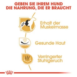 Royal Canin French Bulldog Adult - Hundefutter -Haustierprodukte royal canin french bulldog adult hondenvoer 138640 0500 none