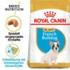 Royal Canin French Bulldog Puppy - Hundefutter -Haustierprodukte royal canin french bulldog puppy hondenvoer 140549 0500 none