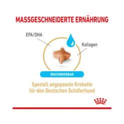 Royal Canin German Shepherd Adult 5+ -Haustierprodukte royal canin german shepherd adult 5 165106 0500 none