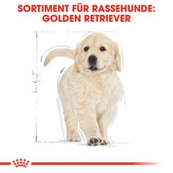 Royal Canin Golden Retriever Puppy - Hundefutter 13 Royal Canin Golden Retriever Puppy - Hundefutter -Haustierprodukte royal canin golden retriever puppy hondenvoer 138958 0500 none