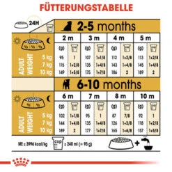 Royal Canin Jack Russell Terrier Puppy - Hundefutter -Haustierprodukte royal canin jack russell terrier puppy hondenvoer 139327 0500 none