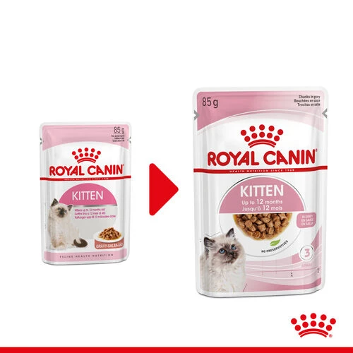 Royal Canin Kitten In Gravy - Katzenfutter 3 Royal Canin Kitten In Gravy - Katzenfutter