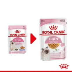 Royal Canin Kitten In Jelly - Katzenfutter -Haustierprodukte royal canin kitten in jelly kattenvoer 207116 0500 none