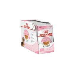 Royal Canin Kitten Sterilised Gelee - Beutel -Haustierprodukte royal canin kitten sterilised in jelly kattenvoer 201959 0500 none